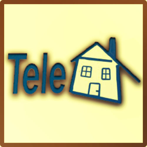 Teledom logo